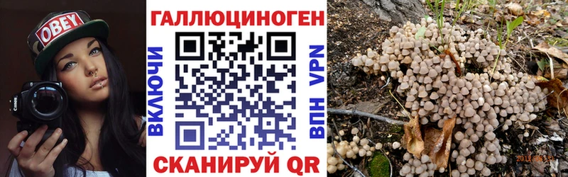 Галлюциногенные грибы Cubensis ссылка на мегу ссылки Мичуринск цены наркотик