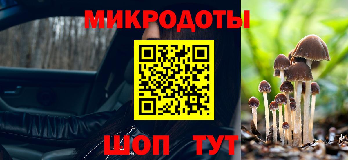 Мичуринск  Галлюциногенные грибы Psilocybe  Вход с VPN 